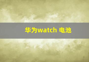 华为watch 电池